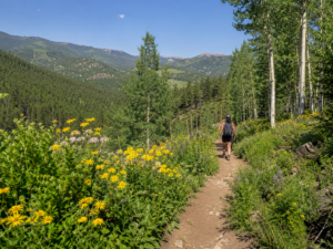 Hiking in Evergreen Colorado summer — Alderfer Three Sisters Park trails