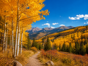 Move to Denver CO this fall — golden aspens and crisp Colorado autumn make October the perfect time to arrive